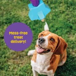 Brightkins Magic Wand! Star Treat Dispensing Dog Tpy -Pet Care Sales 805454 PT3. AC SS1800 V1682450362
