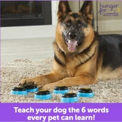 Hunger For Words Talking Pet Essential Words Dog Toy -Pet Care Sales 805550 PT5. AC SS1800 V1682450529