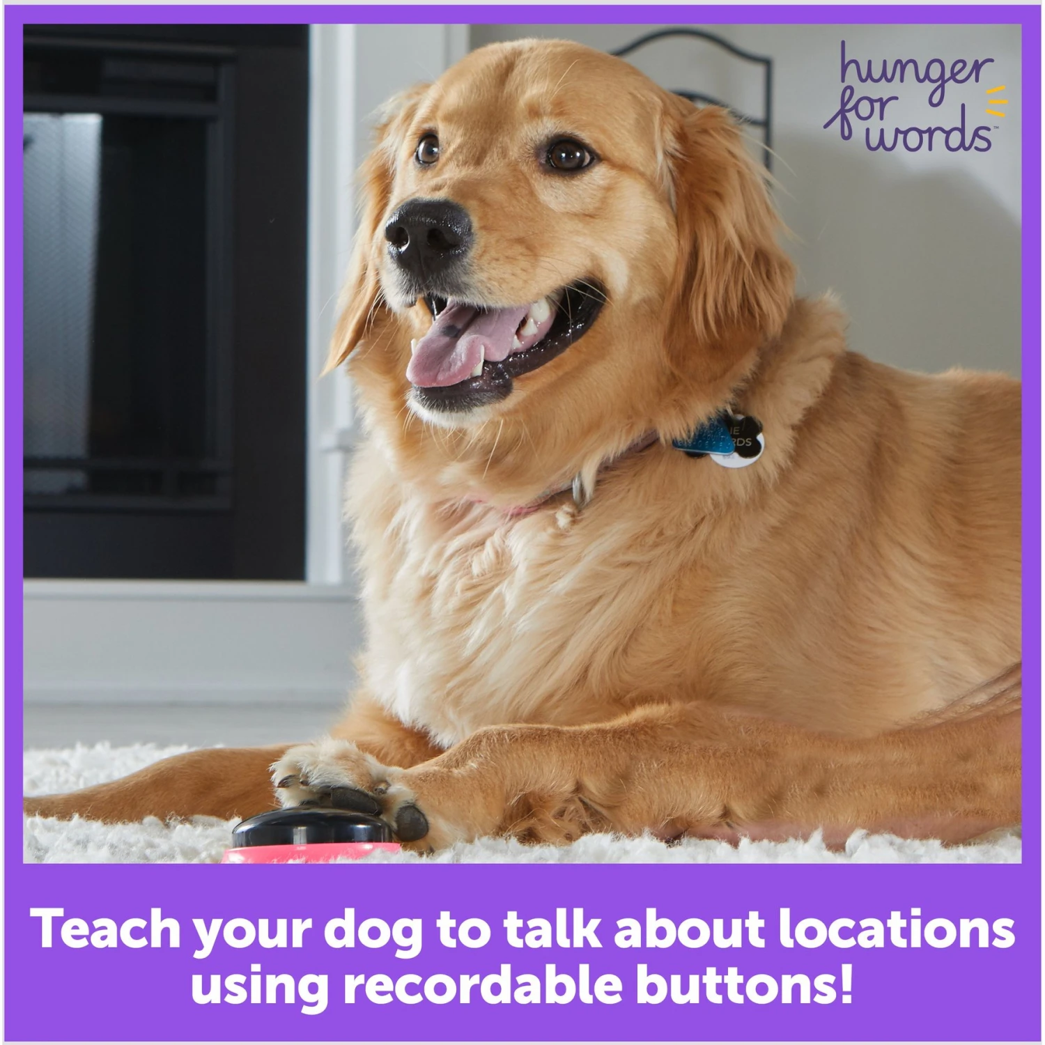 Hunger For Words Talking Pet Next Words: Locations Dog Toy 3 Hunger For Words Talking Pet Next Words: Locations Dog Toy - Image 3