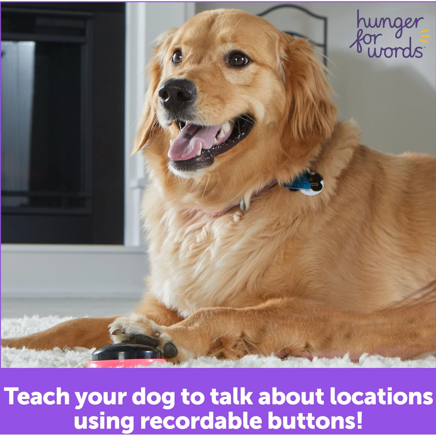 Hunger For Words Talking Pet Next Words: Locations Dog Toy 5 Hunger For Words Talking Pet Next Words: Locations Dog Toy - Image 5