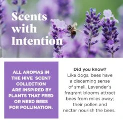 Project Hive Pet Company Hive Calming Lavender Scented Fetch Stick Dog Toy, Purple -Pet Care Sales 805982 PT2. AC SS1800 V1683567238