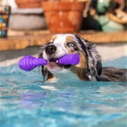 Project Hive Pet Company Hive Calming Lavender Scented Fetch Stick Dog Toy, Purple -Pet Care Sales 805982 PT3. AC SS1800 V1683565863