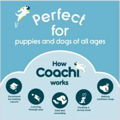 Coachi Toilet Dog Training Bells, Navy -Pet Care Sales 807798 PT7. AC SS1800 V1680894821