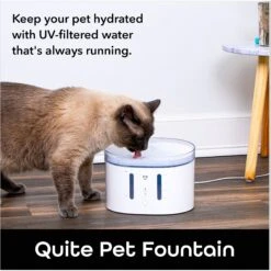Geeni PetConnect UV Sterilized Circulating Water Smart Dog & Cat Fountain, 2-L 12 Geeni PetConnect UV Sterilized Circulating Water Smart Dog & Cat Fountain, 2-L -Pet Care Sales 811790 PT4. AC SS1800 V1688759852