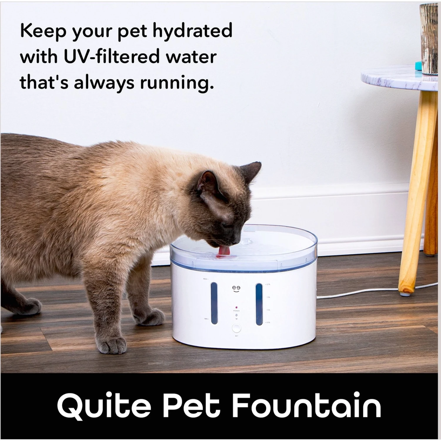 Geeni PetConnect UV Sterilized Circulating Water Smart Dog & Cat Fountain, 2-L 5 Geeni PetConnect UV Sterilized Circulating Water Smart Dog & Cat Fountain, 2-L - Image 5