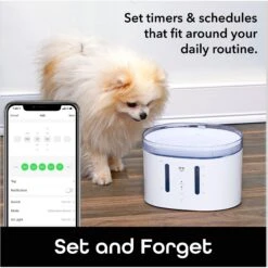 Geeni PetConnect UV Sterilized Circulating Water Smart Dog & Cat Fountain, 2-L 13 Geeni PetConnect UV Sterilized Circulating Water Smart Dog & Cat Fountain, 2-L -Pet Care Sales 811790 PT5. AC SS1800 V1688761211