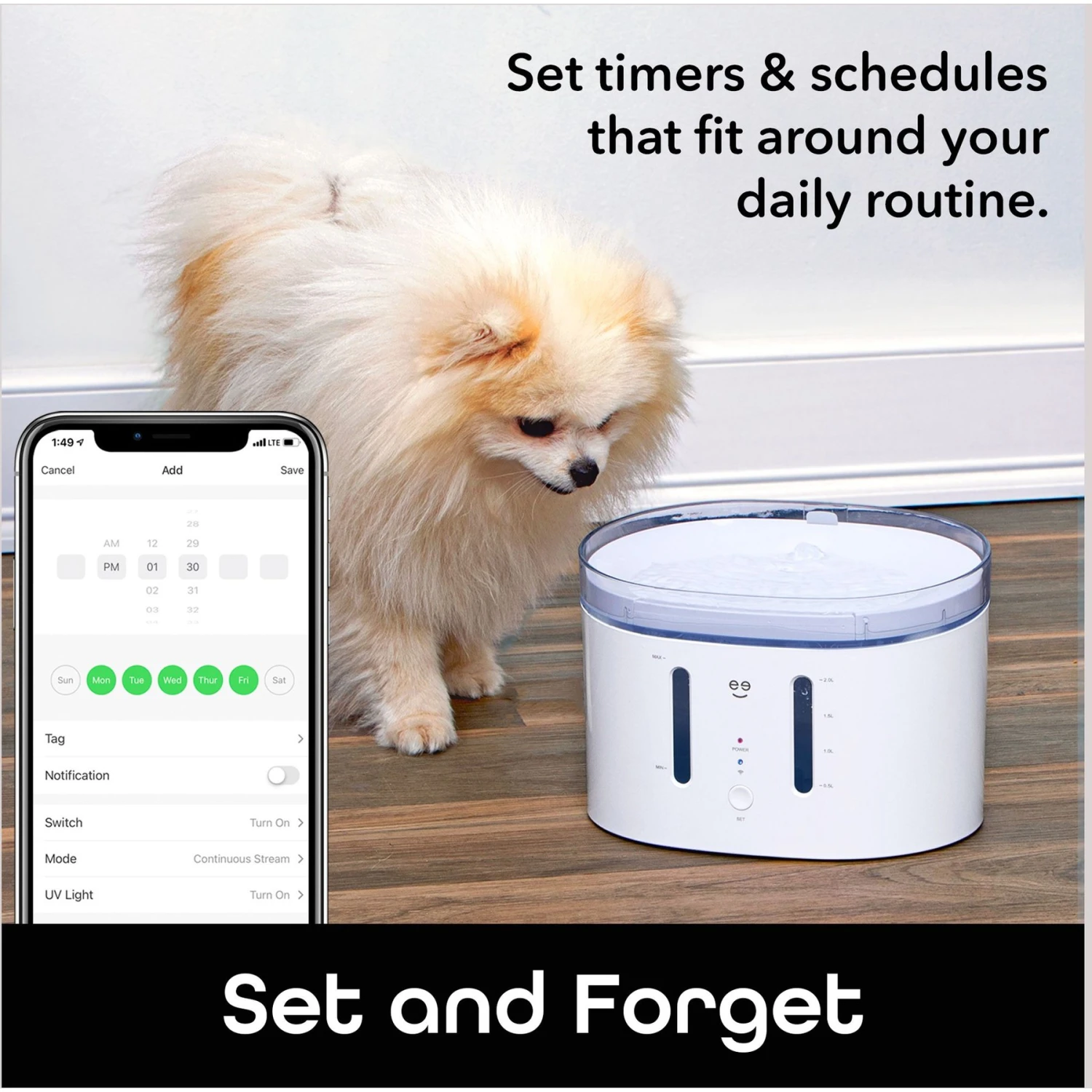 Geeni PetConnect UV Sterilized Circulating Water Smart Dog & Cat Fountain, 2-L 6 Geeni PetConnect UV Sterilized Circulating Water Smart Dog & Cat Fountain, 2-L - Image 6