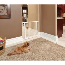 MidWest ICrate Fold & Carry Single Door Collapsible Wire Dog Crate & MidWest Steel Pet Gate -Pet Care Sales 815134 PT6. AC SS1800 V1679500871