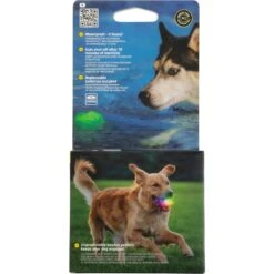 Nite Ize GlowStreak Wild LED Ball-Disc-O Dog Toy 12 Nite Ize GlowStreak Wild LED Ball-Disc-O Dog Toy -Pet Care Sales 821286 PT3. AC SS1800 V1680280847