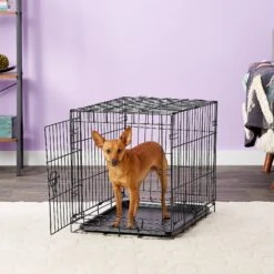 Carlson Pet Products Secure & Compact Single Door Collapsible Wire Dog Crate