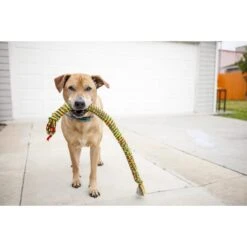 Mammoth SnakeBiter Snake Rope Dog Toy, Color Varies 7 Mammoth SnakeBiter Snake Rope Dog Toy, Color Varies -Pet Care Sales 83152 PT2. AC SS1800 V1633020404