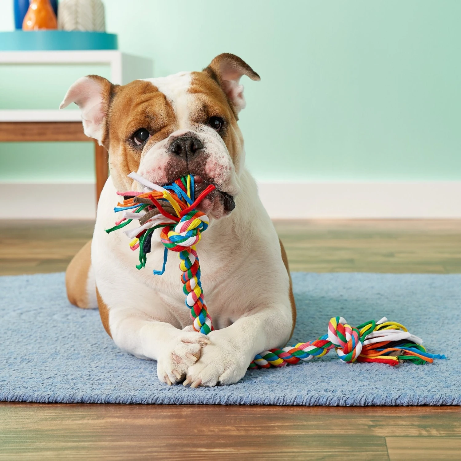 Mammoth Cloth Rope Tug For Dogs, Color Varies 2 Mammoth Cloth Rope Tug For Dogs, Color Varies - Image 2