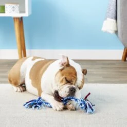 Mammoth Cloth Rope Tug For Dogs, Color Varies 10 Mammoth Cloth Rope Tug For Dogs, Color Varies -Pet Care Sales 83166 PT3. AC SS1800 V1633020467