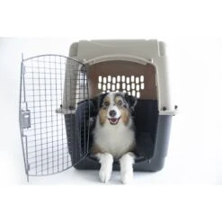 Petmate Ultra Vari Dog & Cat Kennel, Taupe/Black -Pet Care Sales 83947 PT3. AC SS1800 V1569016066