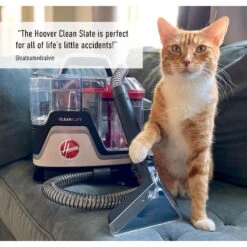 Hoover Cleanslate Dog & Cat Stain Remover, White -Pet Care Sales 842614 PT4. AC SS1800 V1682534341