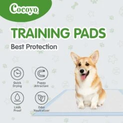 COCOYO Dog Training Pads, 30-in X 36-in, 40 Count -Pet Care Sales 846742 PT3. AC SS1800 V1694726713