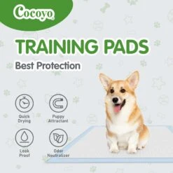 COCOYO Best Value Dog Training Pad, 22-in X 22-in, 50 Count 9 COCOYO Best Value Dog Training Pad, 22-in X 22-in, 50 Count -Pet Care Sales 846758 PT3. AC SS1800 V1694726713