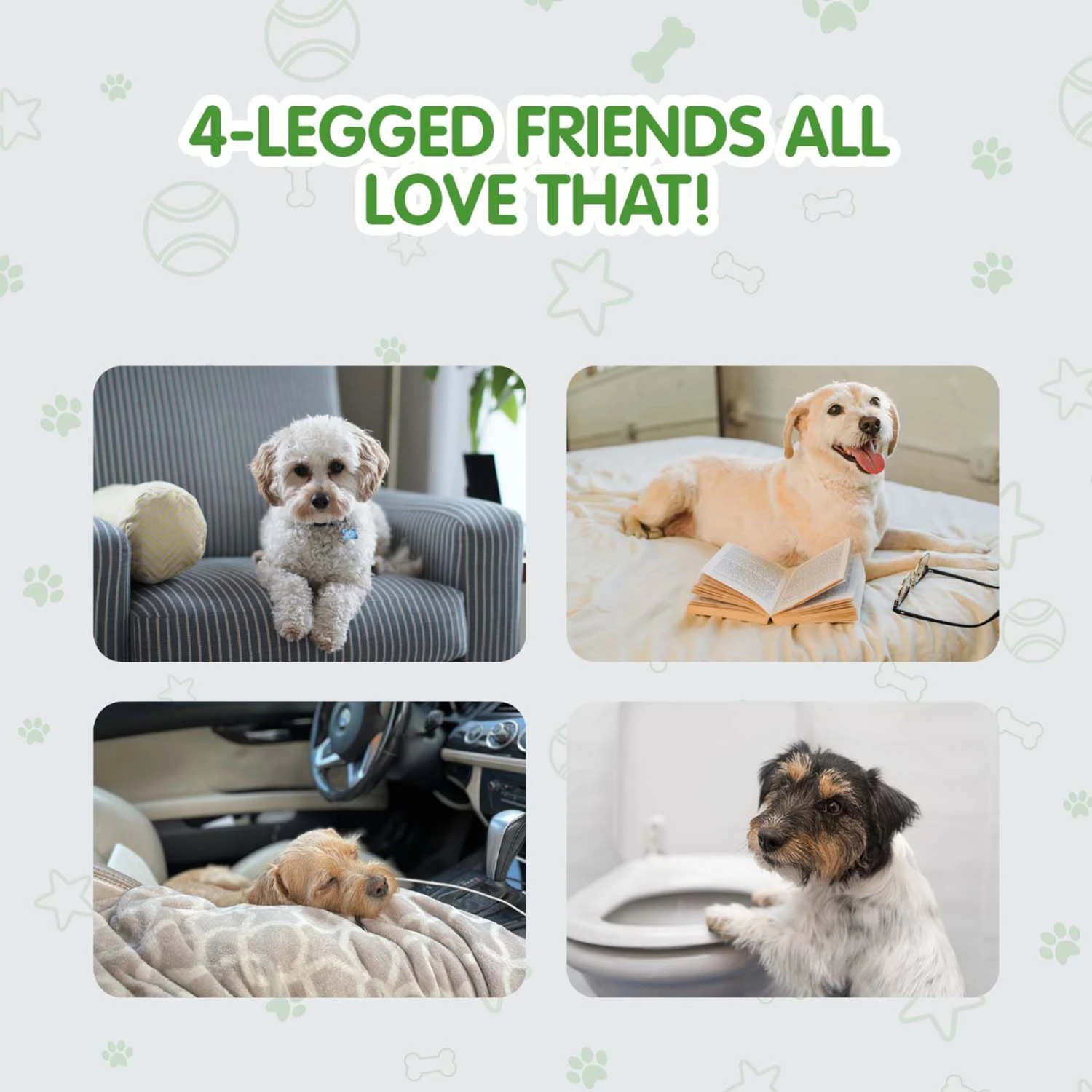 COCOYO Best Value Dog Training Pad, 22-in X 22-in, 50 Count 6 COCOYO Best Value Dog Training Pad, 22-in X 22-in, 50 Count - Image 6