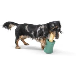West Paw Funnl Dog Toy, Large, 4.25-in 10 West Paw Funnl Dog Toy, Large, 4.25-in -Pet Care Sales 847974 PT2. AC SS1800 V1683904957