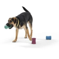 West Paw Funnl Dog Toy, Large, 4.25-in 14 West Paw Funnl Dog Toy, Large, 4.25-in -Pet Care Sales 847974 PT6. AC SS1800 V1683905951