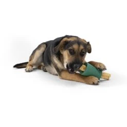 West Paw Funnl Dog Toy, Large, 4.25-in 15 West Paw Funnl Dog Toy, Large, 4.25-in -Pet Care Sales 847974 PT7. AC SS1800 V1683904309