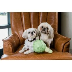 Injoya Artichoke Cat & Dog Snuffle Toy, Green, Small -Pet Care Sales 848070 PT2. AC SS1800 V1685463057