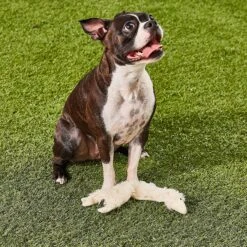 Ethical Pet Skinneeez Crinklers Lamb Stuffing-Free Squeaky Plush Dog Toy -Pet Care Sales 85045 PT7. AC SS1800 V1527093302