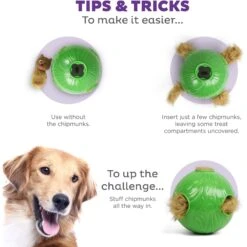 Nina Ottosson By Outward Hound Snuffle N' Treat Interactive Puzzle Ball & Treat Dispenser Dog Toy, Green 9 Nina Ottosson By Outward Hound Snuffle N' Treat Interactive Puzzle Ball & Treat Dispenser Dog Toy, Green -Pet Care Sales 855590 PT3. AC SS1800 V1694439631