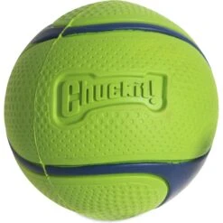 Chuckit! Sniff Fetch Ball Dog Toy, Medium 5 Chuckit! Sniff Fetch Ball Dog Toy, Medium -Pet Care Sales 872198 PT2. AC SS1800 V1687799975