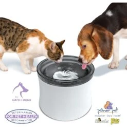 Pioneer Pet Vortex Drinking Dog & Cat Fountain, Gray, Medium -Pet Care Sales 873102 PT3. AC SS1800 V1686328488
