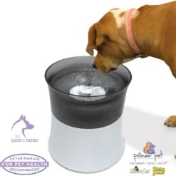 Pioneer Pet Vortex Elevated Drinking Dog Fountain, Gray, Medium -Pet Care Sales 873118 PT3. AC SS1800 V1686334835