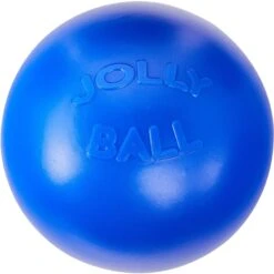 Jolly Pets 10" Push-n-Play Ball Dog Toy