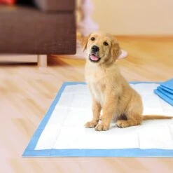 Four Paws Pet Select Pee Pee Pads For Dogs -Pet Care Sales 891502 PT4. AC SS1800 V1686921874