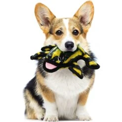 Tuffy's Desert Phrog Plush Dog Toy -Pet Care Sales 90123 PT2. AC SS1800 V1589560853