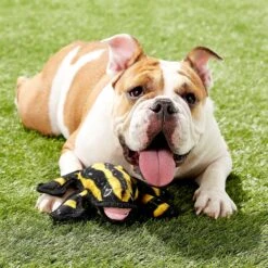 Tuffy's Desert Phrog Plush Dog Toy -Pet Care Sales 90123 PT3. AC SS1800 V1589560864