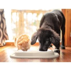 WeatherTech Double Low Poly Bowl Cat & Dog Pet Feeding System -Pet Care Sales 904870 PT2. AC SS1800 V1695584988