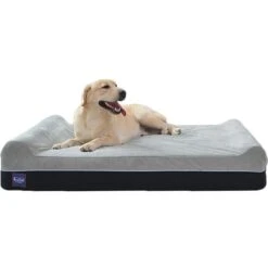 LaiFug Double Pillow Dog Bed -Pet Care Sales 907254 PT4. AC SS1800 V1689095437