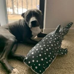 Snuggle Puppy Tender-Tuffs Big Shots Bubba Whale Shark Squeaky Dog Plush Toy, Grey, Large -Pet Care Sales 913142 PT4. AC SS1800 V1689703035