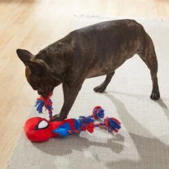 Marvel 's Captain America Plush With Rope Squeaky Dog Toy + 3 Items 15 Marvel 's Captain America Plush With Rope Squeaky Dog Toy + 3 Items -Pet Care Sales 929454 PT6. AC SS1800 V1690899555
