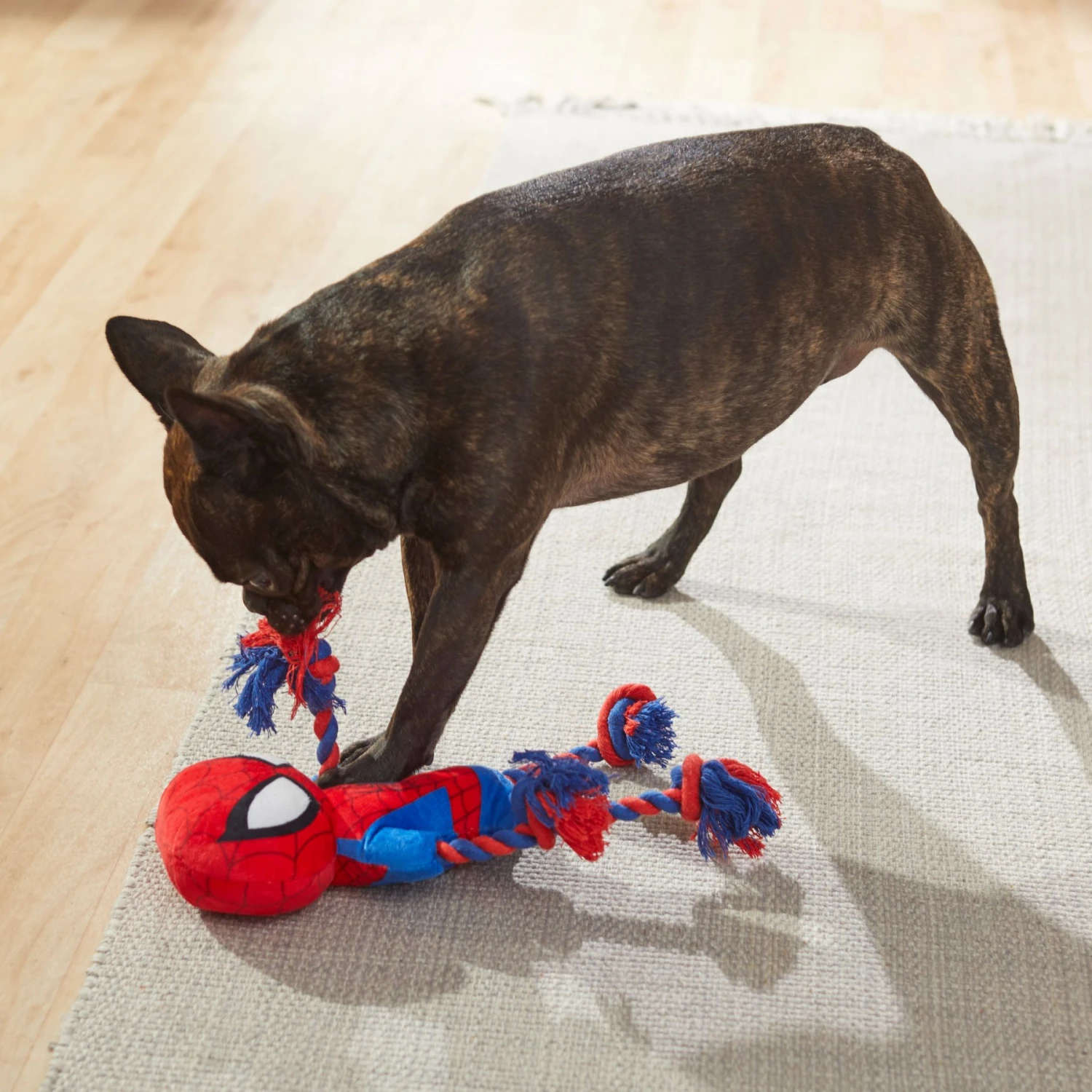 Marvel 's Captain America Plush With Rope Squeaky Dog Toy + 3 Items 7 Marvel 's Captain America Plush With Rope Squeaky Dog Toy + 3 Items - Image 7