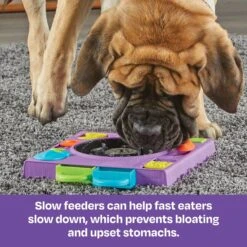 Brightkins DJ Doggo Puzzle Feeder Dog Toy 10 Brightkins DJ Doggo Puzzle Feeder Dog Toy -Pet Care Sales 930054 PT3. AC SS1800 V1698766697