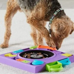 Brightkins DJ Doggo Puzzle Feeder Dog Toy 11 Brightkins DJ Doggo Puzzle Feeder Dog Toy -Pet Care Sales 930054 PT4. AC SS1800 V1698765989