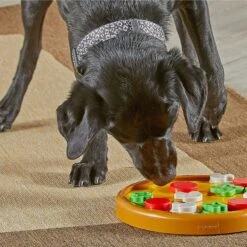 Brightkins Pizza Party! Treat Puzzle Dog Toy -Pet Care Sales 930086 PT3. AC SS1800 V1698765996