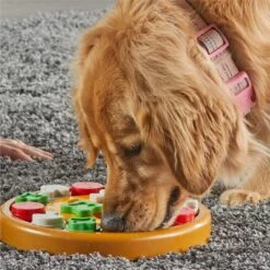 Brightkins Pizza Party! Treat Puzzle Dog Toy -Pet Care Sales 930086 PT4. AC SS1800 V1698766050