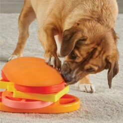 Brightkins Pupstrami Surprise! Treat Puzzle Dog Toy -Pet Care Sales 930102 PT4. AC SS1800 V1698765995