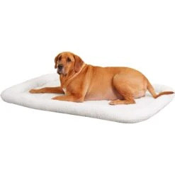 MidWest Solutions Series XX-Large Heavy Duty Double Door Wire Dog Crate, 54 Inch & MidWest Quiet Time Fleece Dog Crate Mat 14 MidWest Solutions Series XX-Large Heavy Duty Double Door Wire Dog Crate, 54 Inch & MidWest Quiet Time Fleece Dog Crate Mat -Pet Care Sales 939374 PT5. AC SS1800 V1691785952