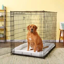 MidWest Solutions Series XX-Large Heavy Duty Double Door Wire Dog Crate, 54 Inch & MidWest Quiet Time Fleece Dog Crate Mat 17 MidWest Solutions Series XX-Large Heavy Duty Double Door Wire Dog Crate, 54 Inch & MidWest Quiet Time Fleece Dog Crate Mat -Pet Care Sales 939374 PT8. AC SS1800 V1691785954