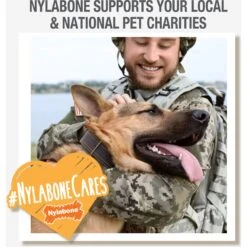 Nylabone Creative Play Eggi Treat Dispenser Dog Toy -Pet Care Sales 940662 PT8. AC SS1800 V1692280402