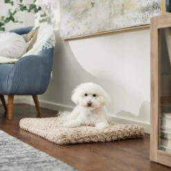 Frisco Double Door Furniture Style Dog Crate, Black & Frisco Swirl Dog Crate Mat 14 Frisco Double Door Furniture Style Dog Crate, Black & Frisco Swirl Dog Crate Mat -Pet Care Sales 947710 PT5. AC SS1800 V1693921603