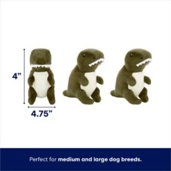 Frisco Volcano Hide & Seek Puzzle Plush Squeaky Dog Toy & Frisco Trash Can & Raccoons Hide & Seek Puzzle Plush Squeaky Dog Toy -Pet Care Sales 962054 PT3. AC SS1800 V1694783952